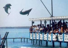 Imagen Isla de San Martín de Pajaral